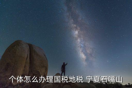 寧夏個稅如何申報，個體怎么辦理國稅地稅 寧夏石嘴山