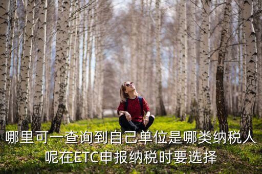 哪里可一查詢到自己單位是哪類納稅人呢在ETC申報(bào)納稅時要選擇