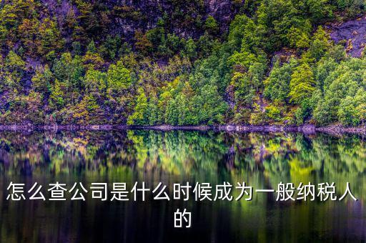如何查詢一般人納稅認(rèn)定時間，怎么查公司是什么時候成為一般納稅人的
