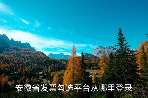 安徽省如何在網(wǎng)上申請購發(fā)票，安徽省發(fā)票勾選平臺從哪里登錄