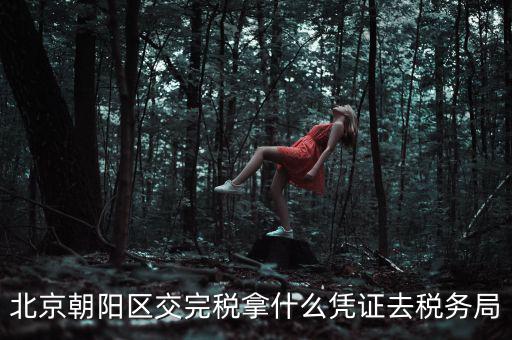 北京朝陽區(qū)交完稅拿什么憑證去稅務局