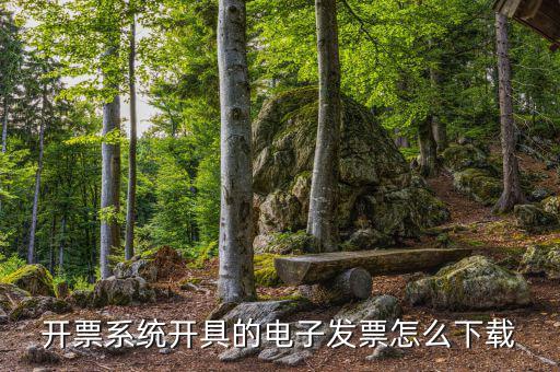 發(fā)票助手如何安裝在手機(jī)上，增值稅發(fā)票稅控開票軟件怎么安裝