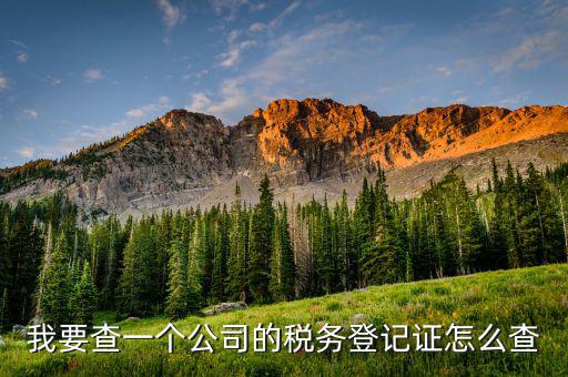 如何查詢稅務(wù)登記表，稅務(wù)登記證查詢