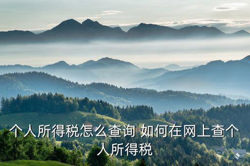 個人所得稅怎么查詢 如何在網上查個人所得稅