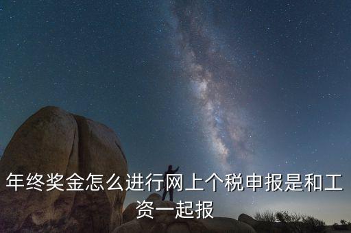年終獎金怎么進(jìn)行網(wǎng)上個(gè)稅申報(bào)是和工資一起報(bào)