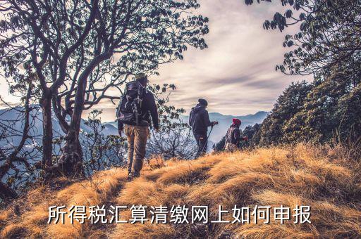 清稅申請如何在云稅廳申請，網(wǎng)上企業(yè)所得稅匯算清繳如何申報(bào)