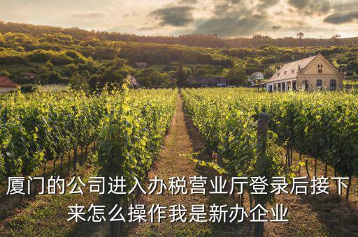 廈門公司如何辦理稅務(wù)，廈門公司如何申請(qǐng)一般納稅人