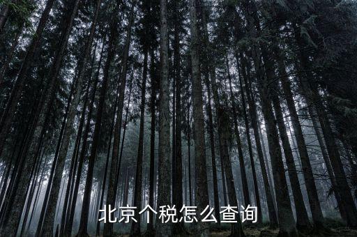 北京地稅局官網(wǎng)如何查個稅，怎么查詢最新北京個稅繳納情況