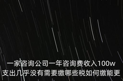 一家咨詢公司一年咨詢費(fèi)收入100w支出幾乎沒(méi)有需要繳哪些稅如何繳能更
