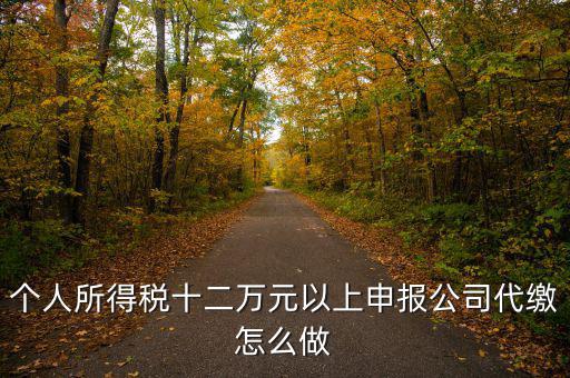 如何做好12萬元申報(bào)征收工作，個(gè)人所得稅十二萬元以上申報(bào)公司代繳怎么做