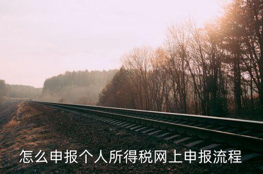 泉州個(gè)人所得稅如何網(wǎng)上申報(bào)，個(gè)人所得稅網(wǎng)上申報(bào)步驟