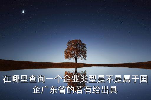 單位類型如何查詢，如何查詢企業(yè)管理類別