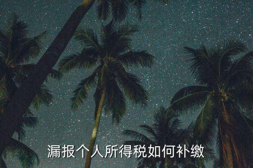 安徽省個稅如何補(bǔ)充申報，漏報個人所得稅如何補(bǔ)繳