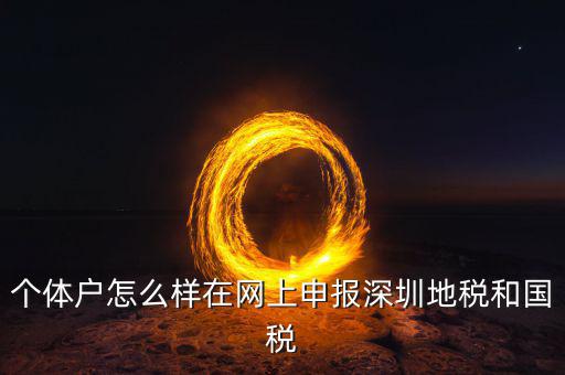 深圳市個(gè)稅如何申報(bào)系統(tǒng)，個(gè)體戶怎么樣在網(wǎng)上申報(bào)深圳地稅和國稅