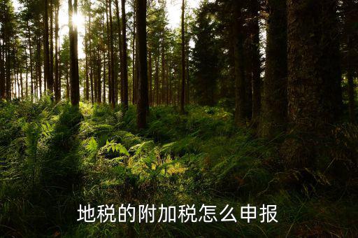 地稅附加稅如何申報(bào)表，城建稅教育費(fèi)附加地方教育附加稅申報(bào)表怎么填