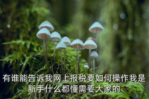 黑龍江如何報稅，黑龍江報稅