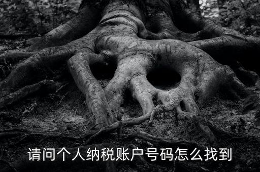 如何查詢個(gè)人稅務(wù)編號查詢，如何查看個(gè)人名下的稅務(wù)證