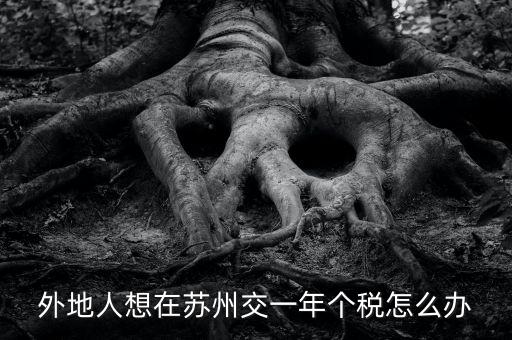 蘇州如何補(bǔ)繳個(gè)稅，外地人想在蘇州交一年個(gè)稅怎么辦