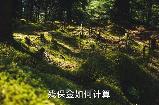 2016年杭州殘疾人保障金如何計(jì)算方法，殘疾人保障金計(jì)算方式