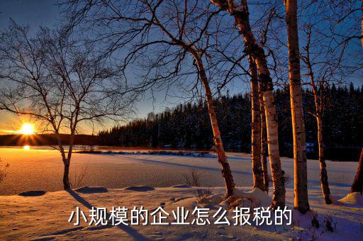小企業(yè)會(huì)計(jì)如何報(bào)國稅，企業(yè)會(huì)計(jì)報(bào)稅流程是怎么樣的