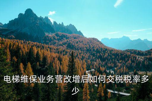 維保電梯如何納稅，麻煩問(wèn)一下電梯維護(hù)與保養(yǎng)納什么稅稅率是多少 如果我公司銷售