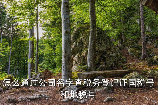 如何查詢企業(yè)國稅，怎么通過公司名字查稅務(wù)登記證國稅號和地稅號