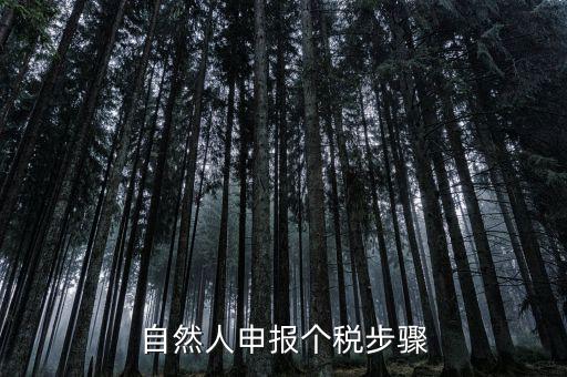 自然人稅收如何申報表，自然人申報個稅步驟