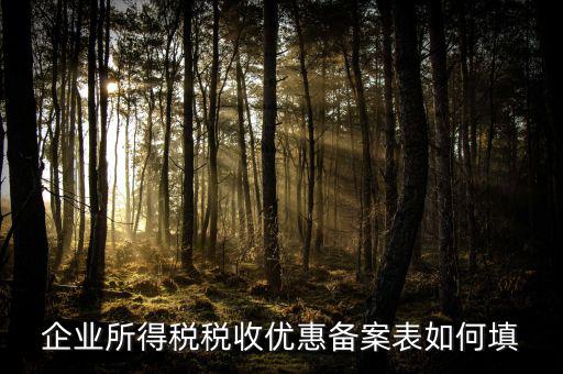 如何填寫企業(yè)所得稅優(yōu)惠事項備案表，企業(yè)所得稅減免稅備案表填寫