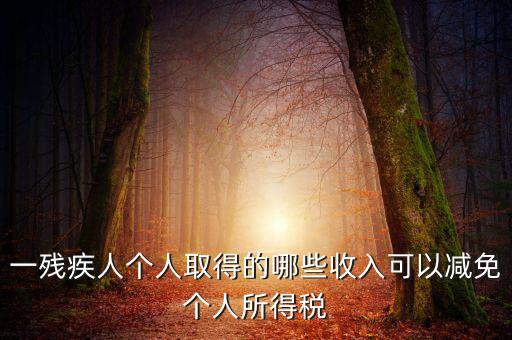 殘疾人減免個(gè)稅如何做賬，有殘疾人免稅證明在個(gè)人所得稅申報(bào)系統(tǒng)中如何填寫急