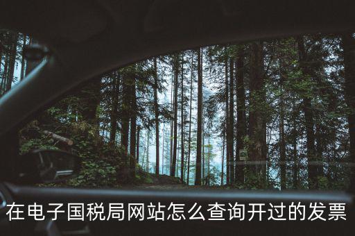 如何查詢電子發(fā)票信息，在電子國(guó)稅局網(wǎng)站怎么查詢開過(guò)的發(fā)票