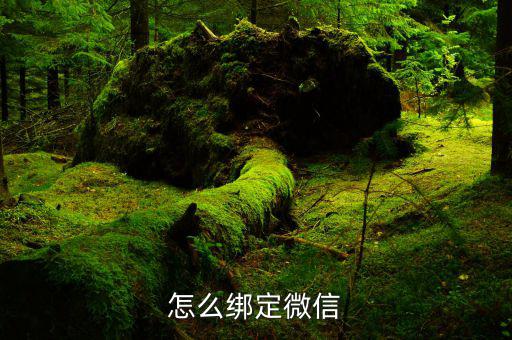 微信如何綁定深圳國稅，怎么綁定微信