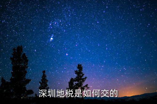 深圳市國家稅務(wù)局如何交稅，深圳市公司網(wǎng)上報(bào)國稅要這么操作啊