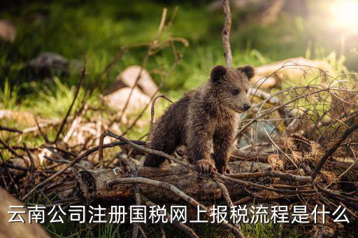 如何進(jìn)入云南網(wǎng)上稅務(wù)申報(bào)系統(tǒng)，如何進(jìn)行網(wǎng)上稅務(wù)申報(bào)