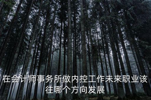 稅務(wù)內(nèi)控工作如何，如何搞好稅務(wù)所管理員內(nèi)控機制建設(shè)