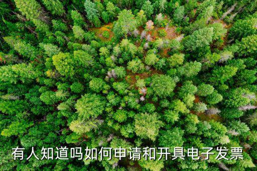 有人知道嗎如何申請(qǐng)和開(kāi)具電子發(fā)票