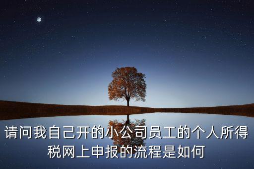 請問我自己開的小公司員工的個人所得稅網上申報的流程是如何
