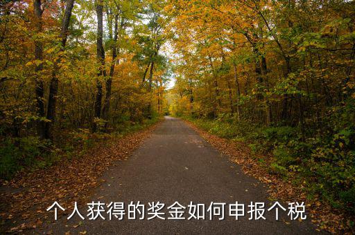 如何將獎金的稅款繳納至稅務(wù)局，個人獲得的獎金如何申報個稅