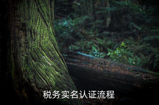 四川省稅務(wù)局如何實(shí)名采集信息，四川網(wǎng)上稅務(wù)局12366掌廳怎么實(shí)名采集掃哪個(gè)二維碼