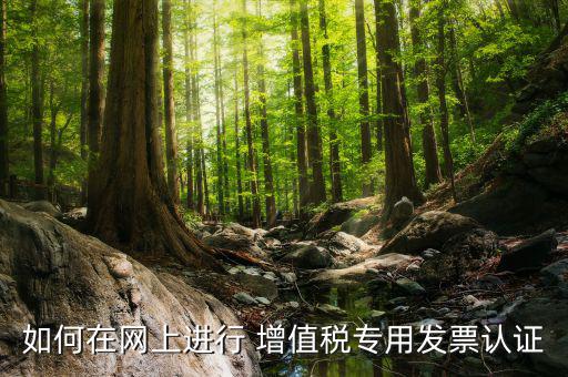 增值稅專(zhuān)用票如何在網(wǎng)上申請(qǐng)，購(gòu)買(mǎi)增值稅專(zhuān)用發(fā)票要先在網(wǎng)上怎么操作