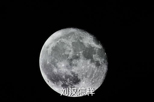 劉漢資產(chǎn)怎么處理,劉漢，四川漢龍集團(tuán)原董事長