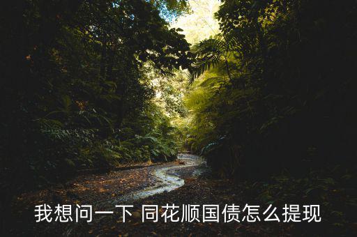 我想問一下 同花順國(guó)債怎么提現(xiàn)