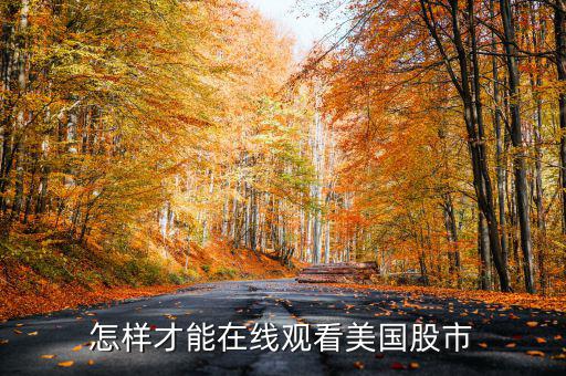 美國股票今天怎么樣,股市繼續(xù)暴跌或暴漲會牽動中國投資者神經