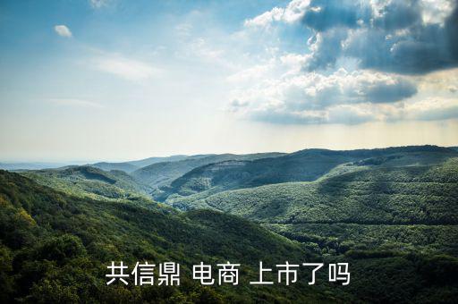 電商怎么上市,南極電商在納斯達(dá)克上市騰訊、慧聰網(wǎng)香港上市