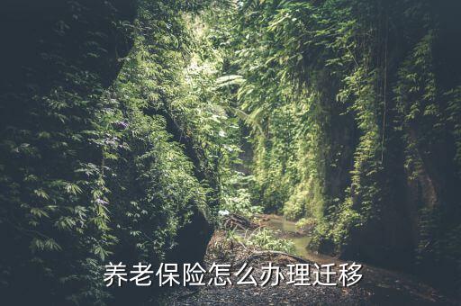 比亞迪養(yǎng)老保險怎么遷出來,參保人將在15個工作日內完成轉移