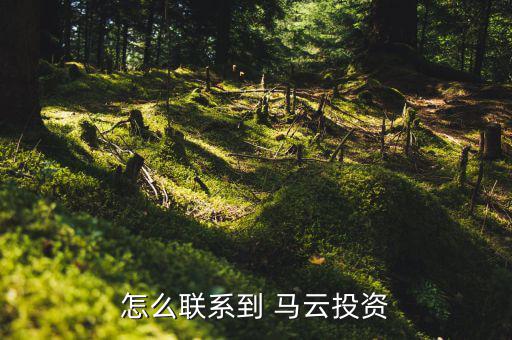 怎么像馬云貸款,沒有馬云時代，只有錢花時代怎么找投資人?