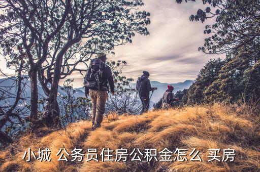 廣州公務員怎么買房,小鎮(zhèn)公務員或通過住房公積金貸款買房