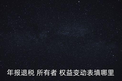 年報退稅 所有者 權益變動表填哪里