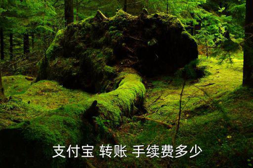 支付寶轉賬手續(xù)費怎么算,支付寶取現(xiàn)轉賬到銀行卡1