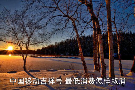怎么關(guān)閉最低消費(fèi)額,手機(jī)營(yíng)銷活動(dòng)必須達(dá)到承諾消費(fèi)金額最低