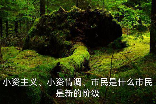 小資主義、小資情調(diào)、市民是什么市民是新的階級